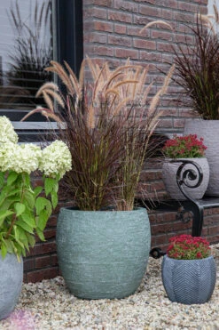 Bloempot Arizona Bullet Cypress Wash - D32 X H28.5cm - Groen -Tuin Decor Verkoop arizona bullet cypress wash d32h285 bloempot 7 9