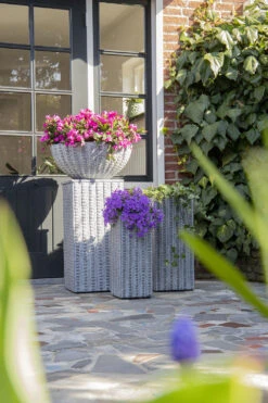 Plantenschaal Arkansas - D36 X H16.5cm - Lichtgrijs -Tuin Decor Verkoop arkansas bowl low washed grey d36h165 bloempot 7 9