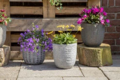 Bloempot Arkansas Egg Washed - D39 X H38cm - Lichtgrijs -Tuin Decor Verkoop arkansas egg pot washed grey d39h38 bloempot 7 9