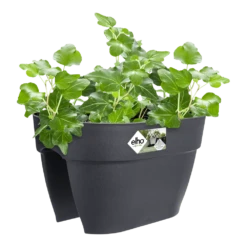 Elho Balkonbak Vibia Campana Bridge 40cm - Antraciet -Tuin Decor Verkoop balkonbak vibia campana bridge 40cm antraciet balkonbak antraciet 3 1