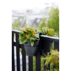 Elho Balkonbak Vibia Campana Twin 21cm - Antraciet -Tuin Decor Verkoop balkonbak vibia campana twin 21cm antraciet balkonbak antraciet 5 1