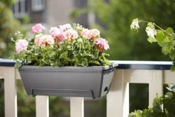 Balkonbak Elho Barcelona Allin 1 50cm - Antraciet -Tuin Decor Verkoop barcelona allin1 50cm plantenbak antraciet 7 18