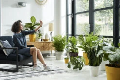 Bloempot Elho B.for Original Rond 25cm - Wit -Tuin Decor Verkoop bfor original rond 25cm bloempot wit 6 17