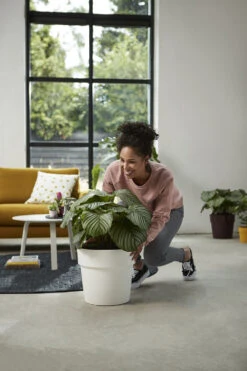 Bloempot Elho B.for Original Rond 25cm - Wit -Tuin Decor Verkoop bfor original rond 25cm bloempot wit 7 17