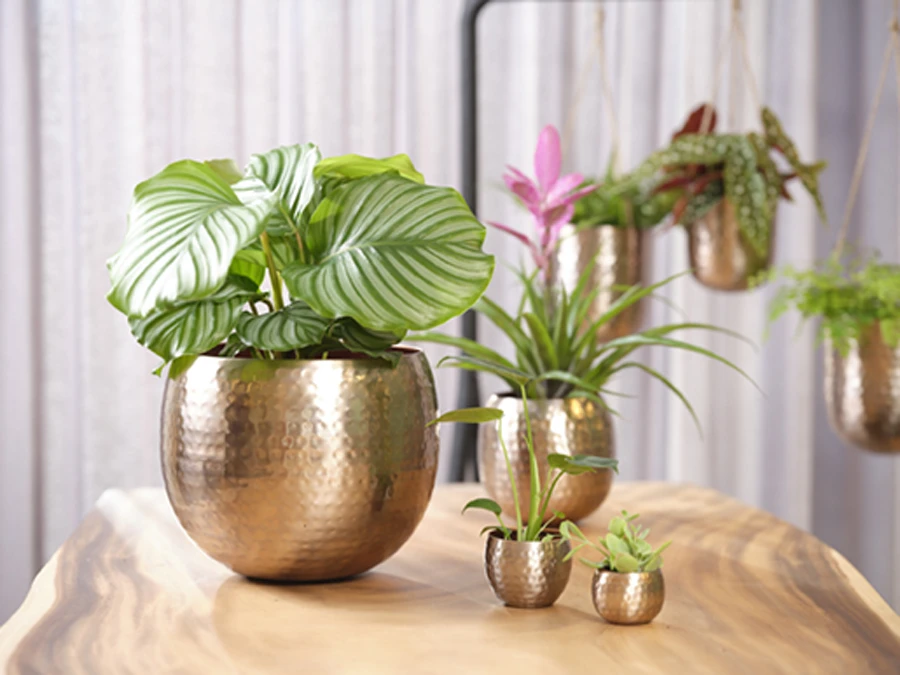 Bloempot Kody - D23 X H19cm - Rosu00e9 Goud 2 Bloempot Kody - D23 X H19cm - Rosu00e9 Goud - Afbeelding 2