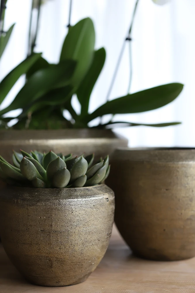 Bloempot Kos - D25 X H23cm - Goud 2 Bloempot Kos - D25 X H23cm - Goud - Afbeelding 2