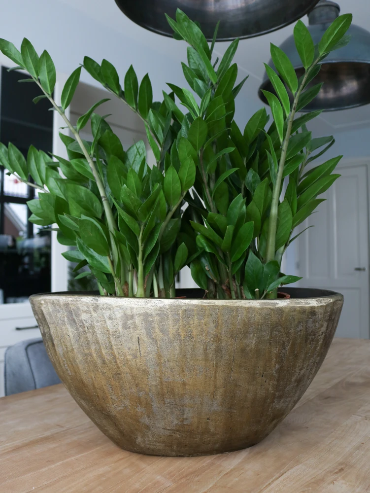 Bloempot Kos Ovaal - L30 X B13 X H17cm - Goud 2 Bloempot Kos Ovaal - L30 X B13 X H17cm - Goud - Afbeelding 2