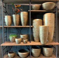 Plantenschaal Kos - D55 X H22cm - Goud -Tuin Decor Verkoop bloempot kos serie goud bloempot 3 1 6