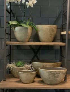 Bloempot Kos Ovaal - L30 X B13 X H17cm - Goud 5 Bloempot Kos Ovaal - L30 X B13 X H17cm - Goud -Tuin Decor Verkoop bloempot kos serie ovaal goud bloempot 3 1 2