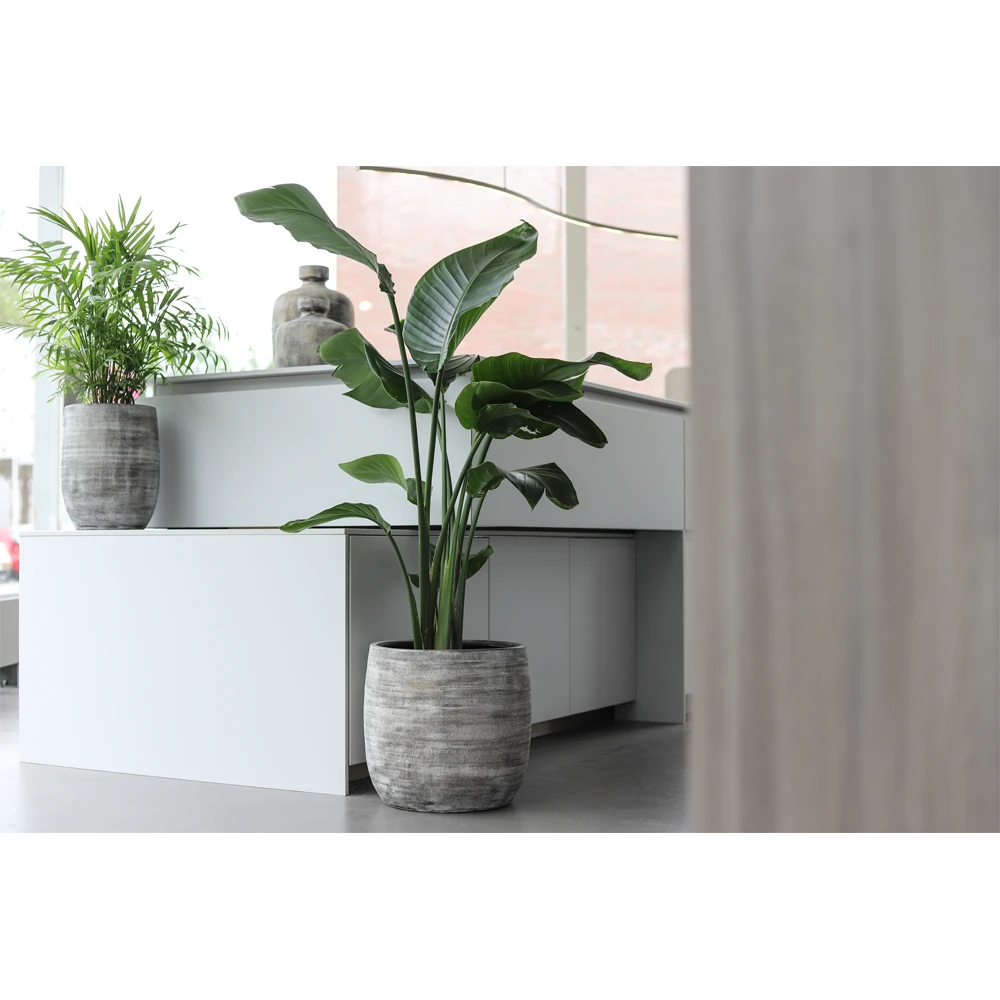 Bloempot Miami Hoog - D29 X H50cm - Zwart Cement 2 Bloempot Miami Hoog - D29 X H50cm - Zwart Cement - Afbeelding 2