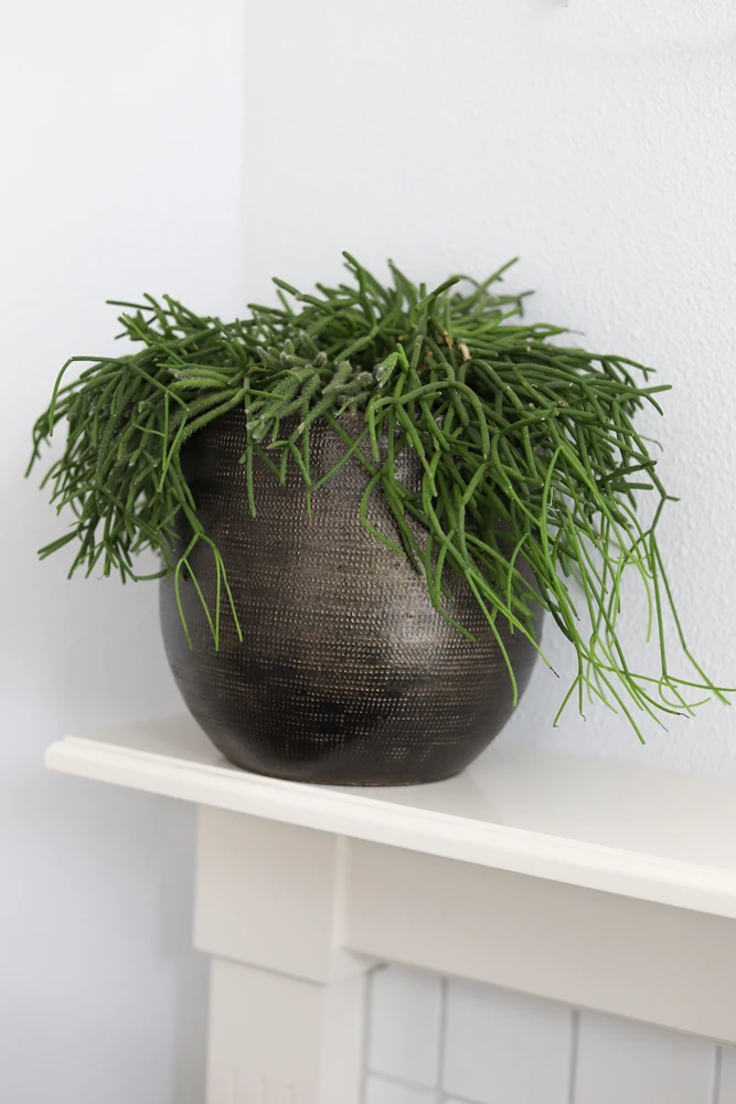 Bloempot Tokio - D39 X H36cm - Goud 2 Bloempot Tokio - D39 X H36cm - Goud - Afbeelding 2