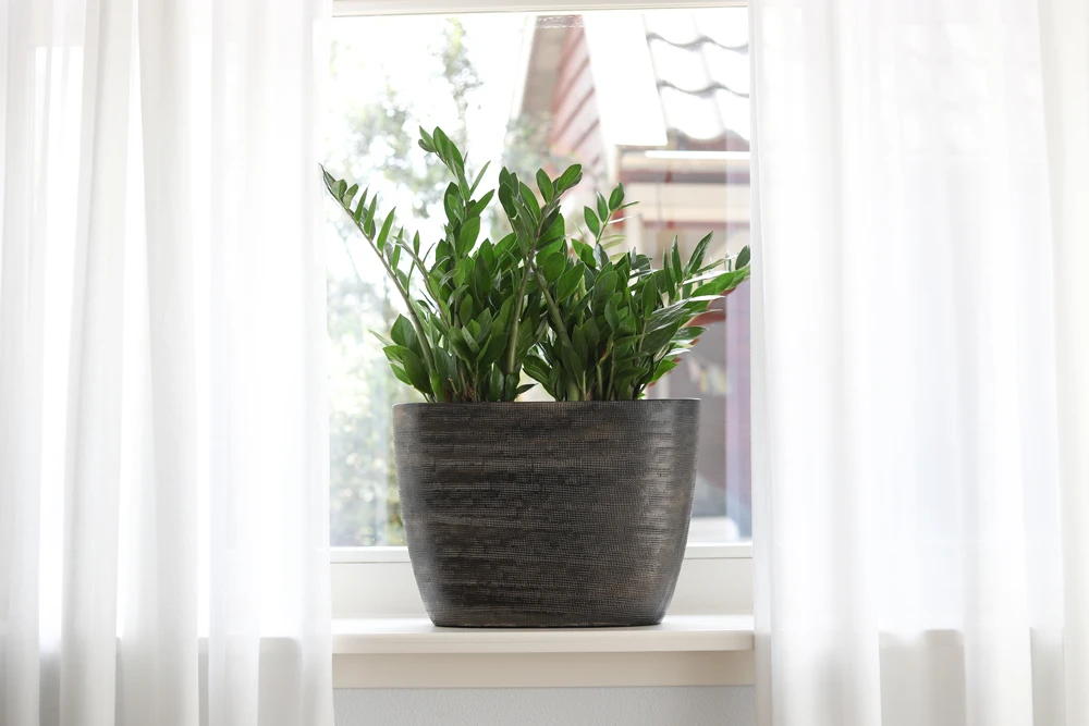 Bloempot Tokio Ovaal - L33 X B16 X H26cm - Goud 2 Bloempot Tokio Ovaal - L33 X B16 X H26cm - Goud - Afbeelding 2