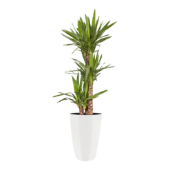 Bloempot Elho Brussels Diamond Rond Hoog 27cm - Wit -Tuin Decor Verkoop brussels diamond rond hoog 27cm bloempot wit 6 5