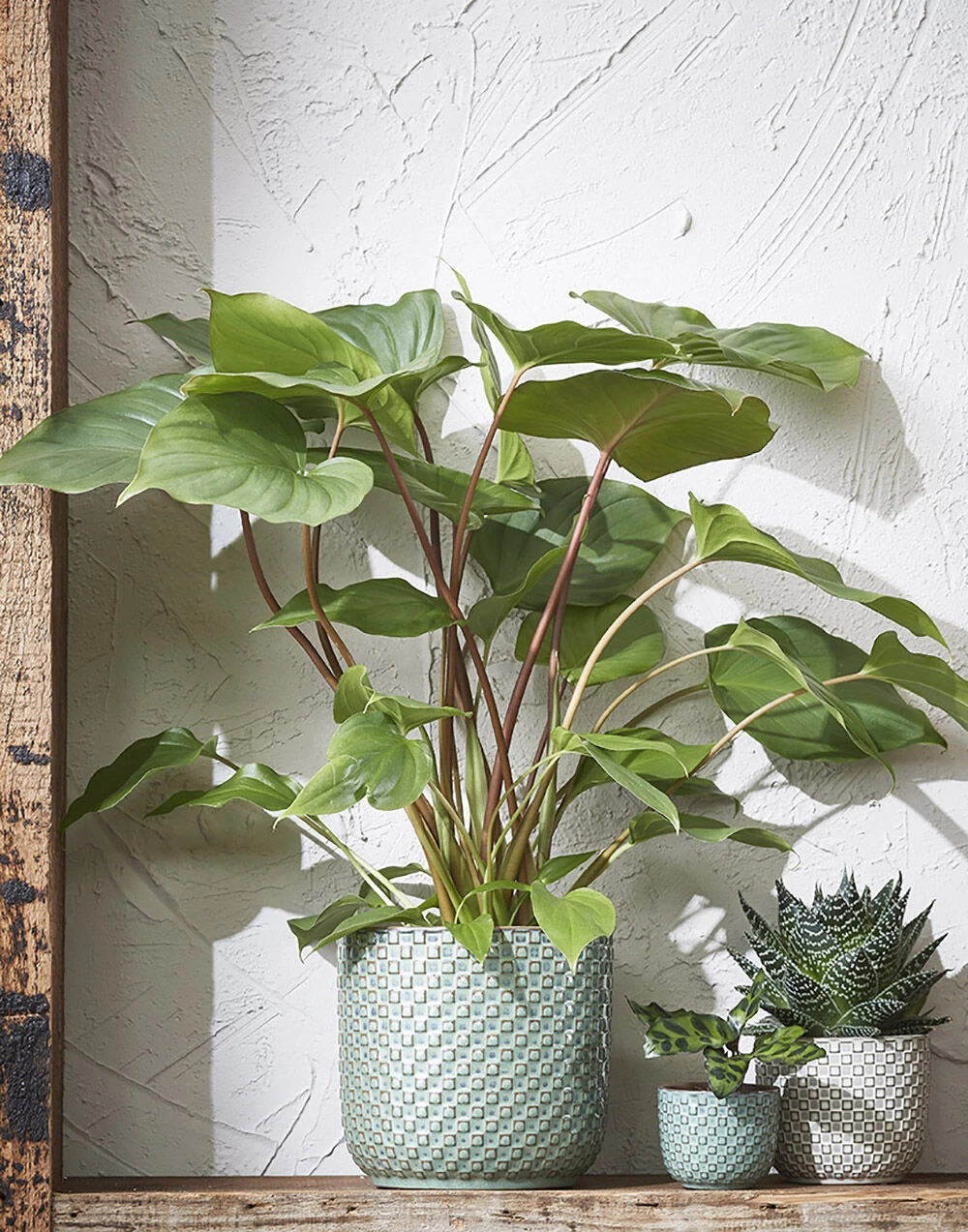 Bloempot Daan - D17 X H16cm - Blauw 2 Bloempot Daan - D17 X H16cm - Blauw - Afbeelding 2