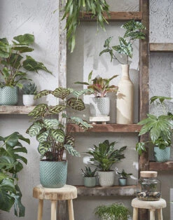 Bloempot Daan - D17 X H16cm - Blauw 5 Bloempot Daan - D17 X H16cm - Blauw -Tuin Decor Verkoop daan pot rond blauw h16xd17cm bloempot 7 13