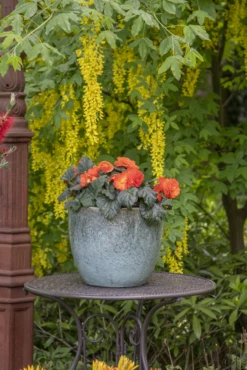 Bloempot Glazed Egg - D30 X H26cm - Groen 5 Bloempot Glazed Egg - D30 X H26cm - Groen -Tuin Decor Verkoop glazed egg pot moss green d30h26 bloempot groen 7 6