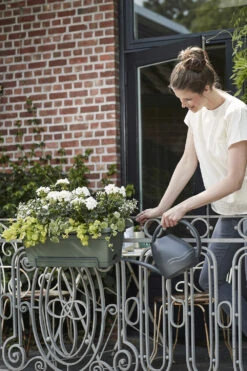 Balkonbak Elho Green Basics XL Allin1 55cm - Bladgroen 7 Balkonbak Elho Green Basics XL Allin1 55cm - Bladgroen -Tuin Decor Verkoop green basics balkonbak xl allin1 55cm plantenbak bladgroen 7 14