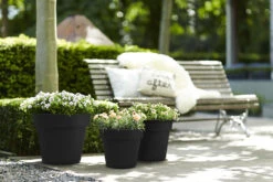 Bloempot Elho Green Basics Top Planter 47cm - Living Black 5 Bloempot Elho Green Basics Top Planter 47cm - Living Black -Tuin Decor Verkoop green basics top planter 47cm bloempot living black 7 13