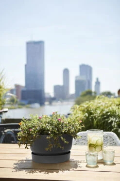 Plantenschaal Elho Greenville 33cm - Living Black -Tuin Decor Verkoop greenville schaal 33cm bloempot living black 6 13