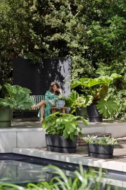 Bloembak Elho Greenville Terrace 80cm - Met Wielen - Living Black -Tuin Decor Verkoop greenville terrace trough 80cm wheels plantenbak living black 6 4