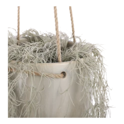 Hangpot Resa - D18,5 X H17cm - Lichtgrijs -Tuin Decor Verkoop hangpot resa d18 5 x h17cm lichtgrijs hangpot 3 1