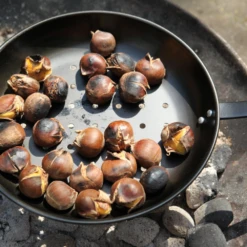 Kastanjepan - Fancy Flames -Tuin Decor Verkoop kastanjepan fancy flames 3 1