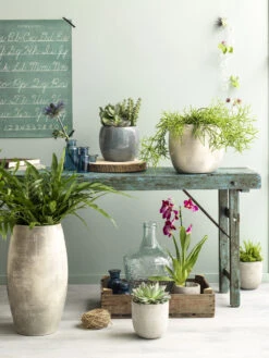 Bloempot Lester - D20 X H18cm - Lichtgrijs -Tuin Decor Verkoop lester pot rond lgrijs h18xd20cm bloempot 7 12