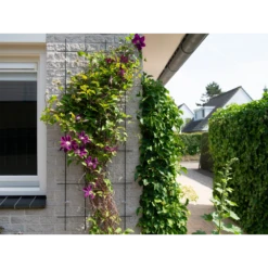 Nature - Metalen Klimrek Geplastificeerd Groen H145x57cm -Tuin Decor Verkoop nature metalen klimrek geplastificeerd groen h145x57cm 3 2