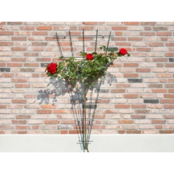 Nature - Metalen Klimrekv Geplastificeerd Groen H145x5/75cm -Tuin Decor Verkoop nature metalen klimrekv geplastificeerd groen h145x5 75cm 3 2