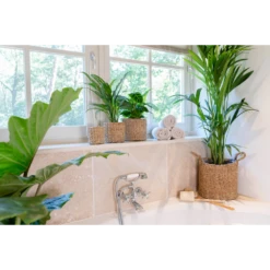 Plantenmand Joris - D38 X H33cm - Naturel -Tuin Decor Verkoop plantenmand joris naturel plantenmand 3