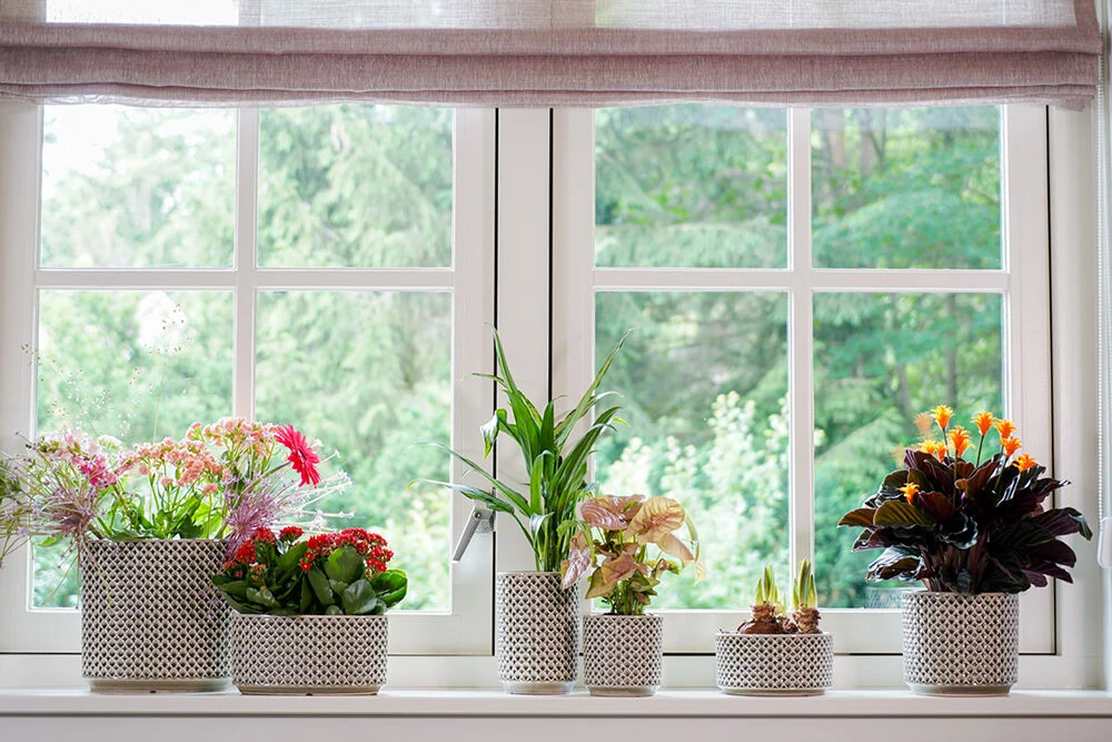 Bloempot Thies - D17 X H15cm - Olijf Groen 3 Bloempot Thies - D17 X H15cm - Olijf Groen - Afbeelding 3