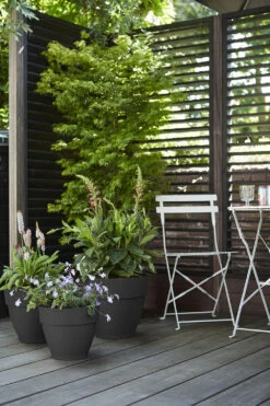 Bloempot Elho Vibia Campana Rond 35cm - Antraciet -Tuin Decor Verkoop vibia campana rond 35 bloempot antraciet 7 11