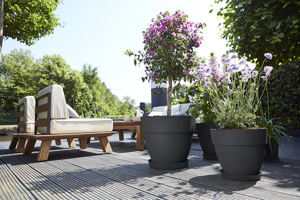 Bloempot Elho Vibia Campana Rond 55cm - Antraciet 2 Bloempot Elho Vibia Campana Rond 55cm - Antraciet - Afbeelding 2